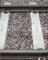 09995 strawberry on train tracks